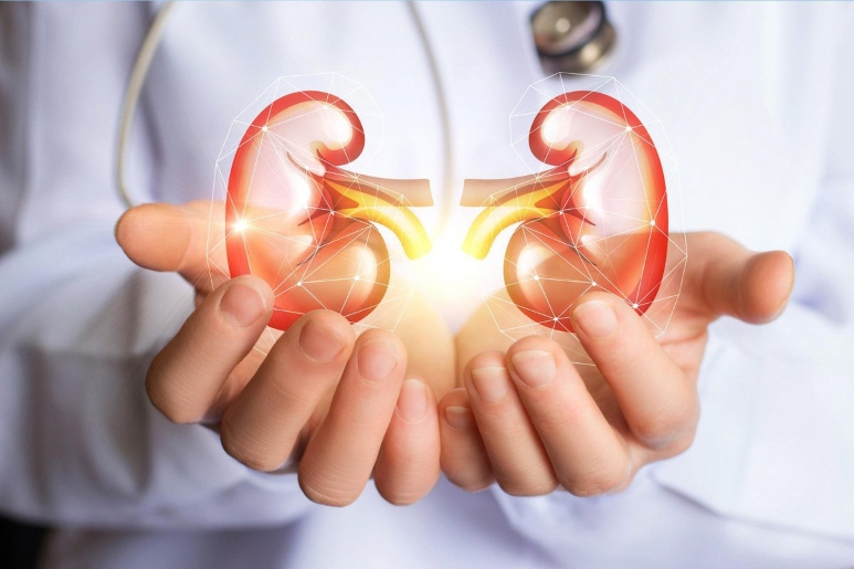 Khám thận gồm những gì