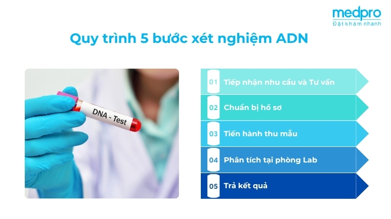 Quy trình xét nghiệm ADN